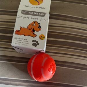 Auto Pet Toy Ball in Vibrant Orange